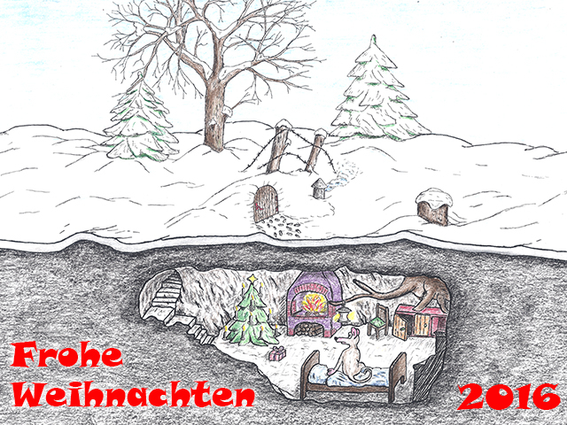 weihnachtsbild_640x480_2016.jpg